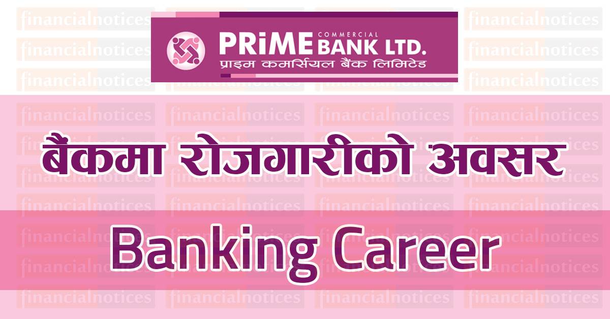 Banking Career Opportunity