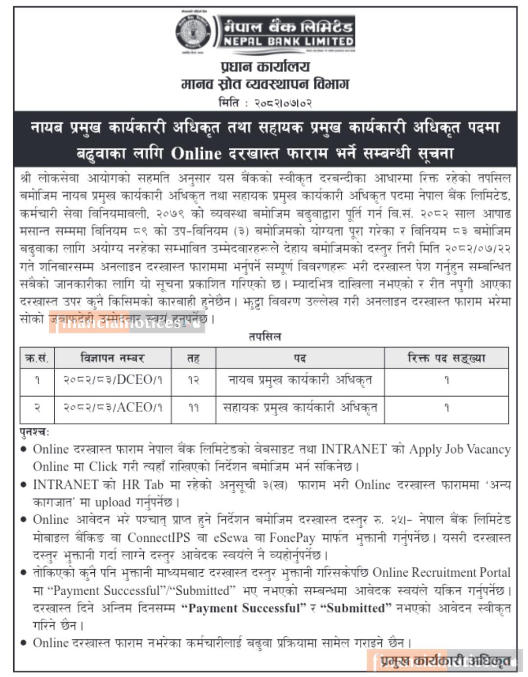 Nepal Bank Opens Online Application for Deputy and Assistant Deputy CEO Posts