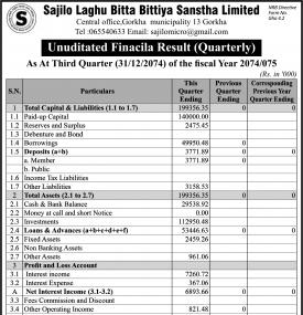 Unaudited Financial Results  (Quarterly)