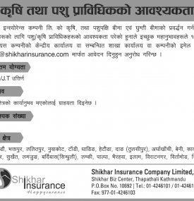Insurance मा रोजगारीको अवसर