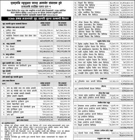  (NMB Hybrid Fund L-1) Net Assets Value