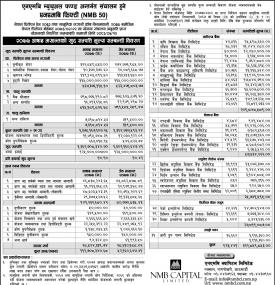 NMB 50 - Net Assets Value (NAV)