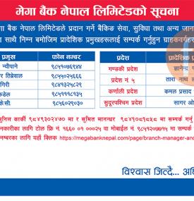 Mega Banking Service Information