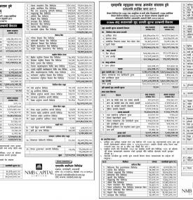 NMB Hybrid Fund L-1 and NMB 50 - Net Asset Value