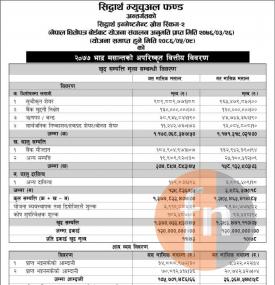 Unaudited Financial Result