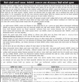 Tender Notice