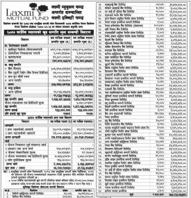 Laxmi Equity Fund - Net Asset Value
