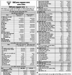 Citizen Mutual Fund 2 - Net Asset Value