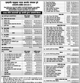 NMB Hybrid Fund L-1  Net Asset Value