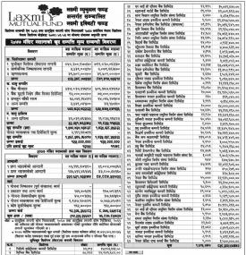 Laxmi Equity Fund - Net Asset Value