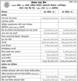 मासिक वित्तीय अवस्थाको विवरण (अपरिष्कृत)