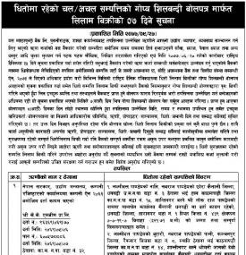 Tender Notice