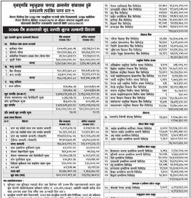 NMB Hybrid Fund L-1  Net Asset Value