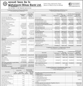 Unaudited Financial Result (2nd Quarterly Report)