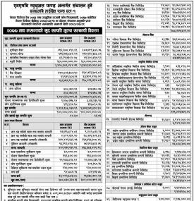 NMB Hybrid Fund L-1  Net Asset Value