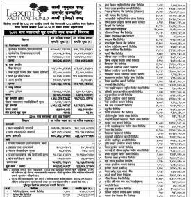 Laxmi Equity Fund - Net Asset Value