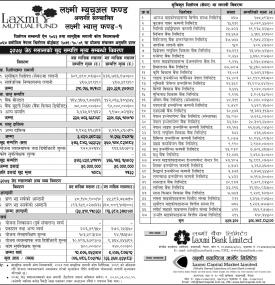 Financial Report- Laxmi Mutual Fund