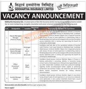 इन्स्योरेन्समा जागिर खुल्यो - Job Vacancy -