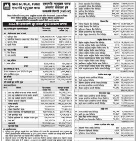 NMB 50 - Net Assets Value (NAV)