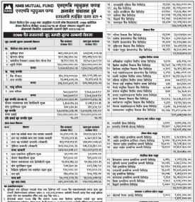 NMB Hybrid Fund L-1  Net Asset Value
