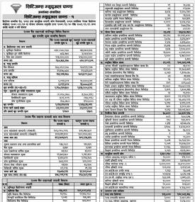 Citizen Mutual Fund 1 - Net Asset Value