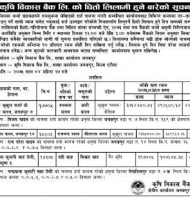 धितोमा रहेको सम्पत्ति लिलामीमा