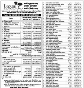 Laxmi Capital Market has published the “Laxmi Equity Fund” Net Asset Value