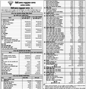 Citizen Mutual Fund 2- Net Assets Value