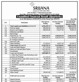 Unaudited Financial Results  (Quarterly)