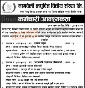 लघुवित्तमा कर्मचारी आवश्यकता- Job Vacancy