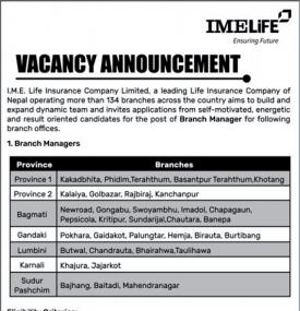 इन्स्योरेन्समा कर्मचारी आवश्यकता