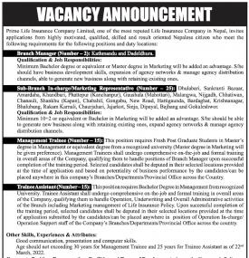 इन्स्योरेन्समा कर्मचारी आवश्यकता- JOB Vacancy -
