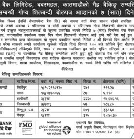 Tender Notice