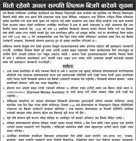 Auction Notice 
