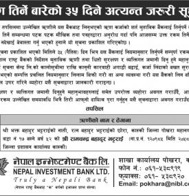 Loan Payment Notice