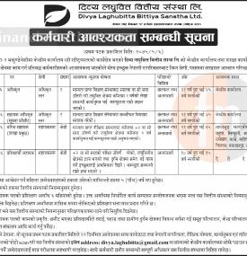 दिव्य लघुवित्तमा कर्मचारी आवश्यकता