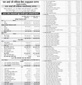  NIC Asia Capital has published NIC Asia Balanced Fund Net Assets Value up to Jestha, 2079.