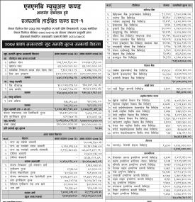 Financial Results- NMB Hybrid Fund