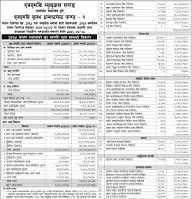 Financial Results- NMB Sulav Investment Fund