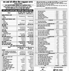NIC Asia Capital has published 'NIC Asia Select-30 - Index Fund' NAV up to Shrawan, 2079