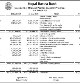 Statement of Financial Position (Monthly-Provision)