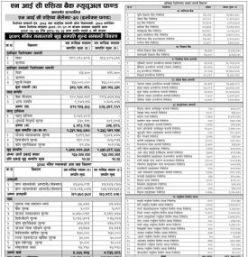 NIC Asia Capital has published 