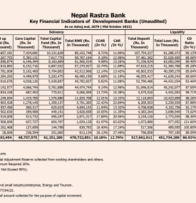 Key Financial Indicators of Finance Companies - Unaudited