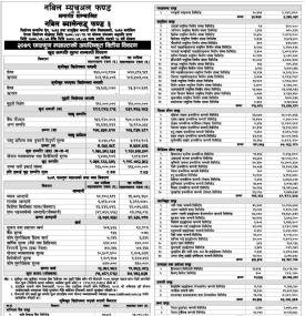 Nabil Investment Banking has published 