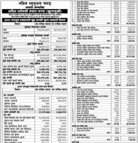 Nabil Investment Banking has published 