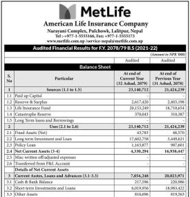 Audited Financial Results of Met Life Insurance