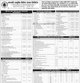 Ganapati Laghubitta has published its annual financial statement of the fiscal year 2078/79