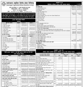 Swarojgar Laghubitta has published its annual financial statement of the fiscal year 2078/79.