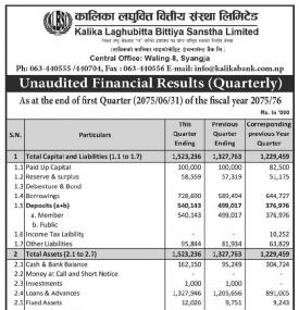 Unaudited Financial Results 
