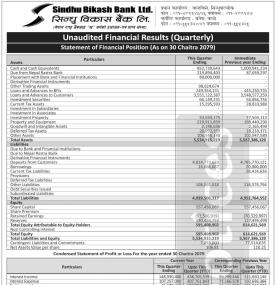 Unaudited Financial Results (Quarterlly)